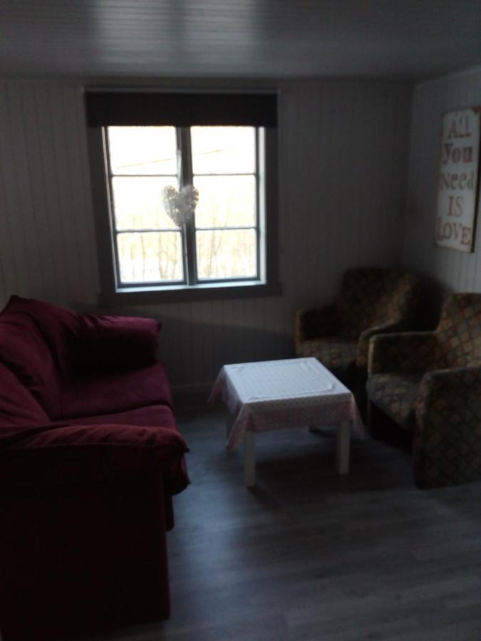 Isfjorden Mountain View Houseヴィラ エクステリア 写真