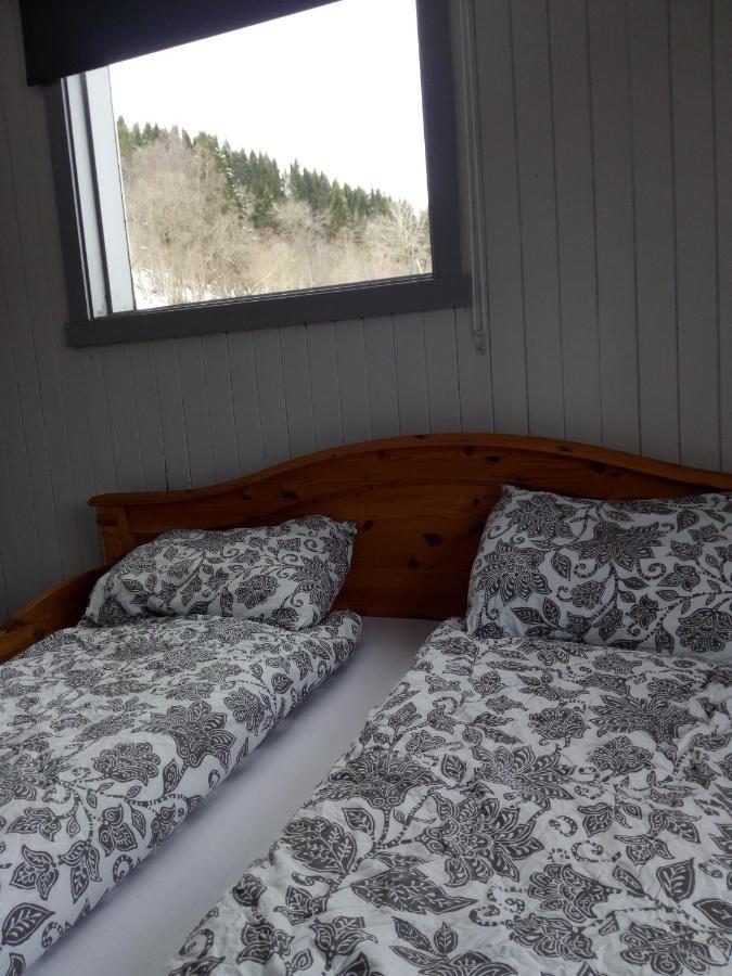 Isfjorden Mountain View Houseヴィラ エクステリア 写真